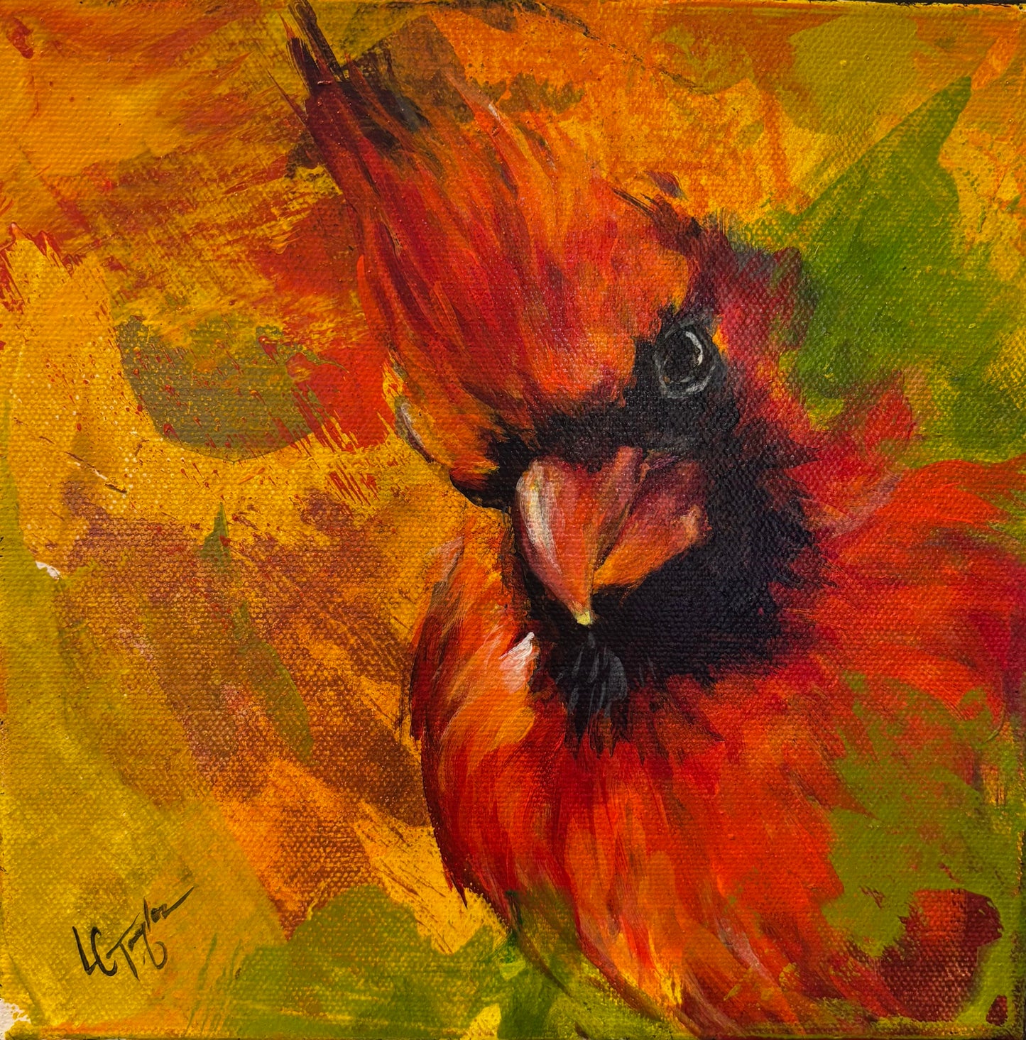 Cardinal 1