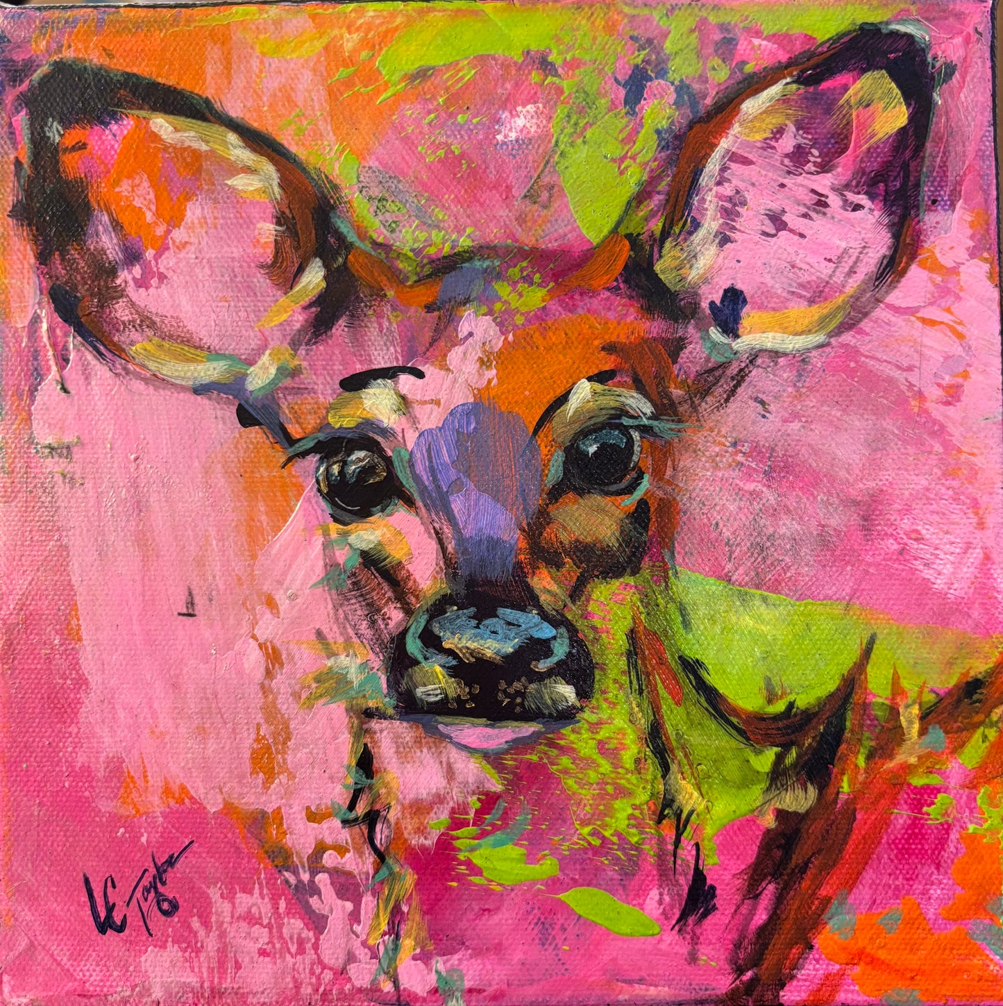Deer
