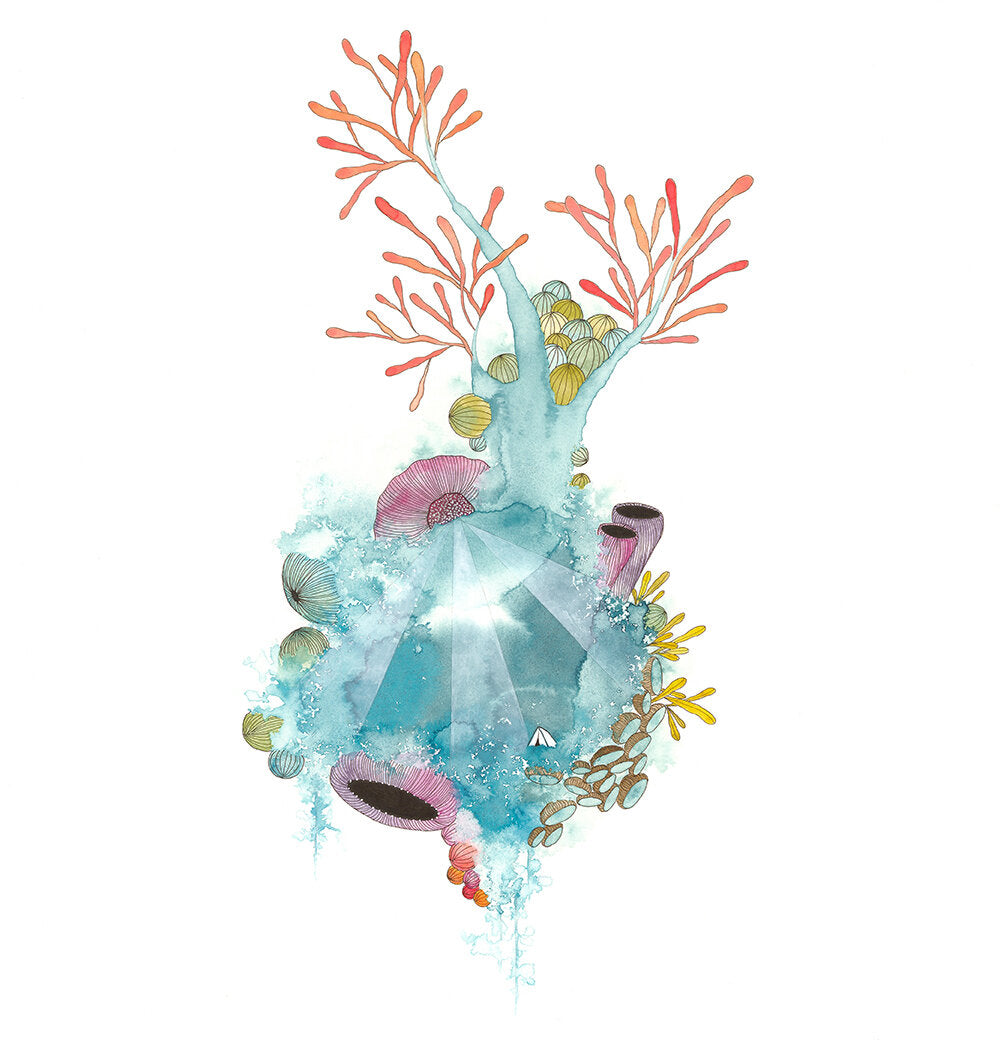 come on in, the water’s fine