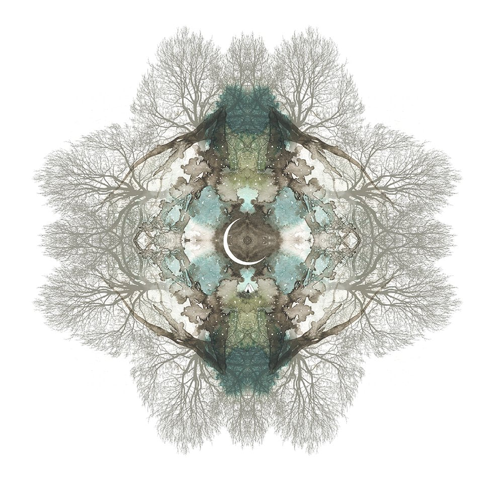 moment of gratitude