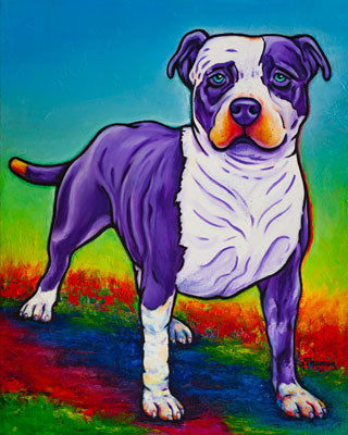 Pit Bull
