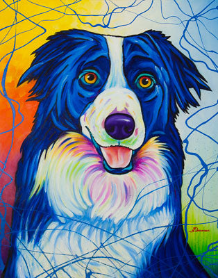 Border Collie