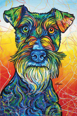 Scruffy (Schnauzer)