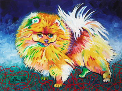 Pomeranian