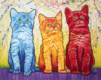 Primary Cats