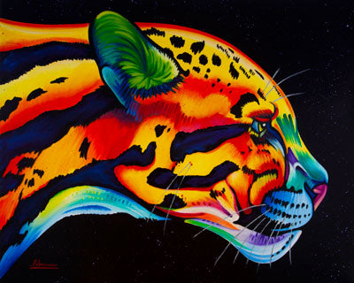 Night Leopard