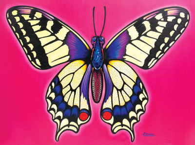 Swallowtail Butterfly