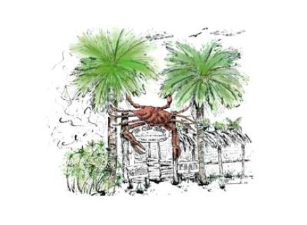 Crab Shack