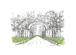 Wormsloe Plantation