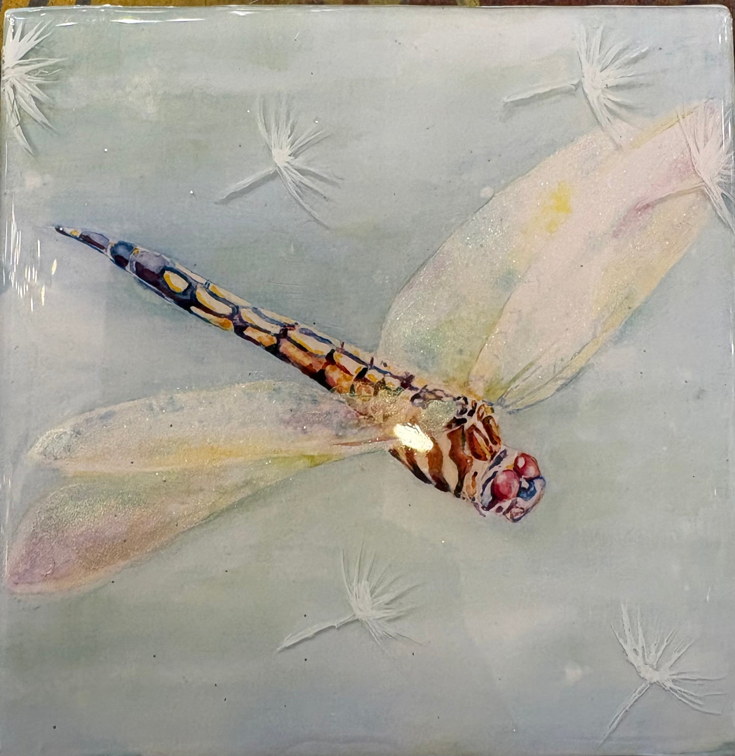 Blue Dasher Fem