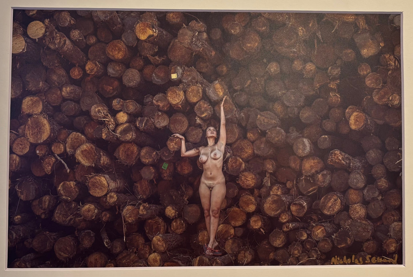 Lumber Spartan