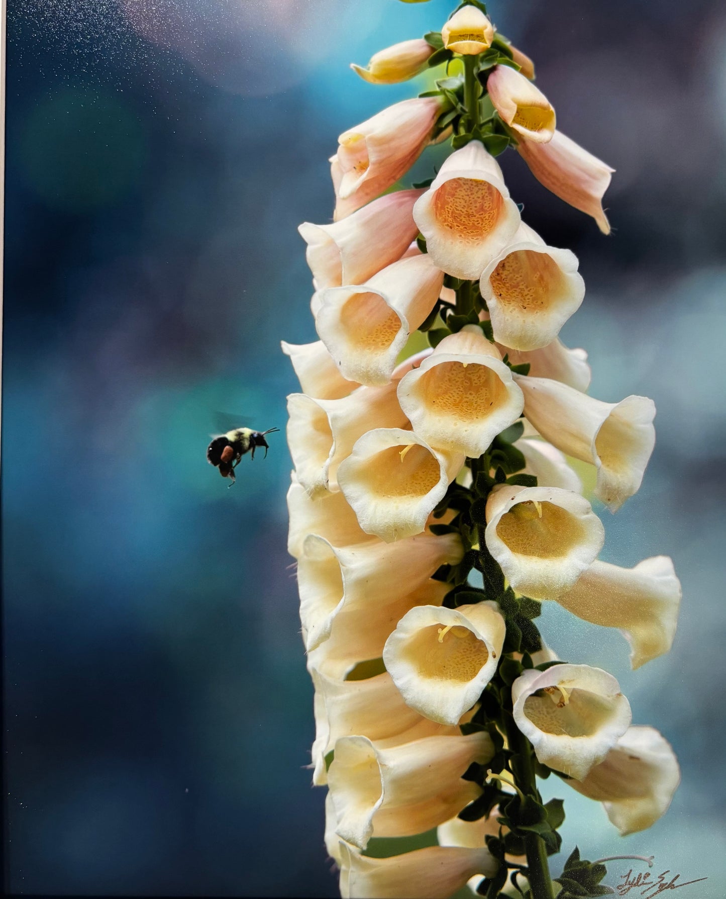 Bee Bags