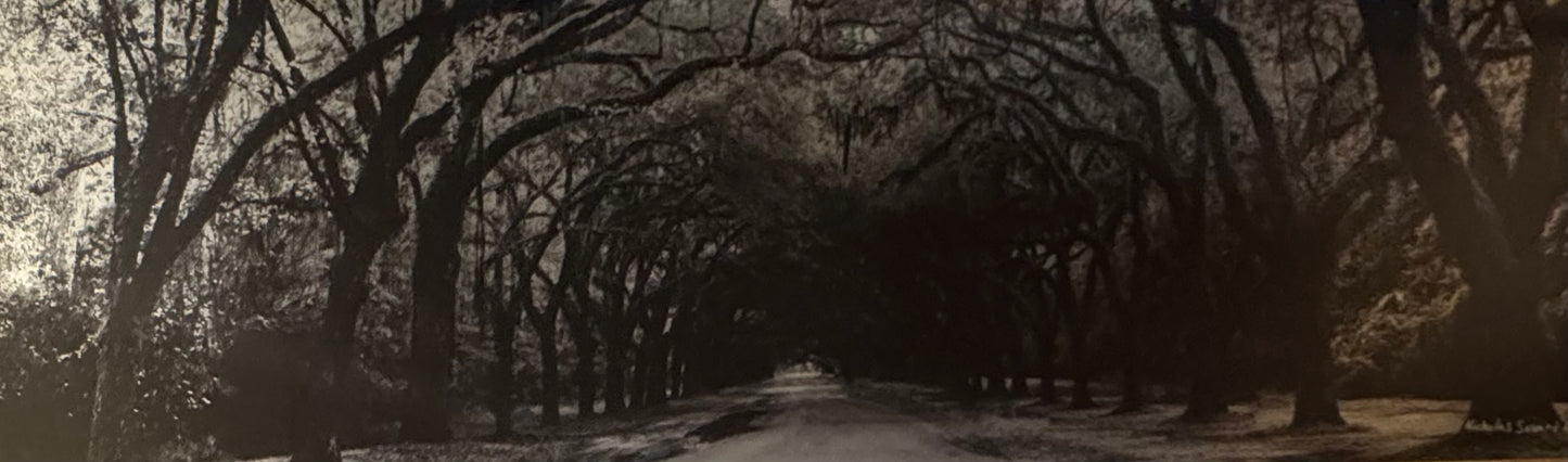 Wormsloe
