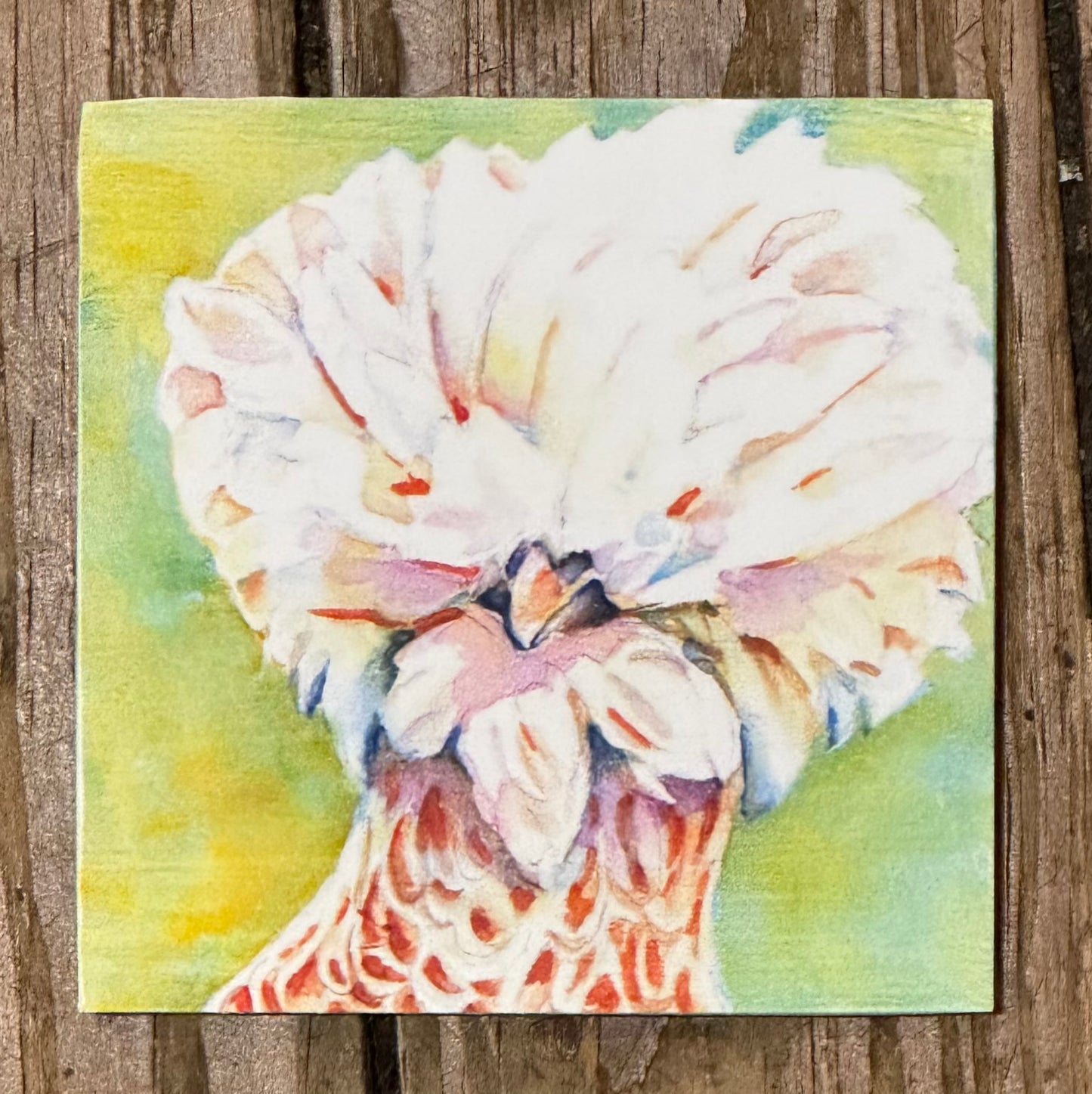 Clarabelle