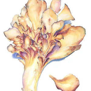Maitake Bloom