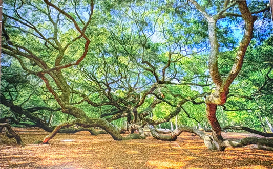 Angel Oak