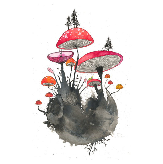 wild & weird