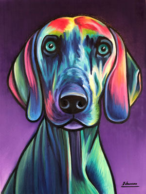 Luna (Weimaraner)