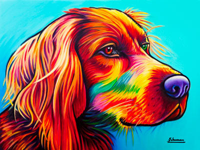 Irish Setter