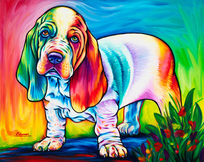 Baby Basset Hound