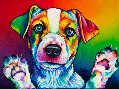 Jack Flash (Jack Russel pup)