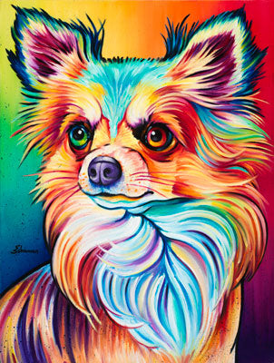 ChaCha (Long Haired Chihuahua)