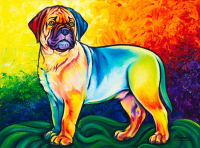 Bull Mastiff (pup)