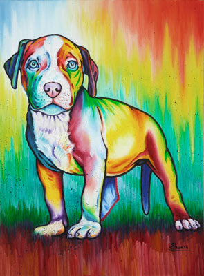 Baby Pit Bull