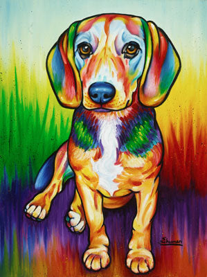 Paloma (Beagle)
