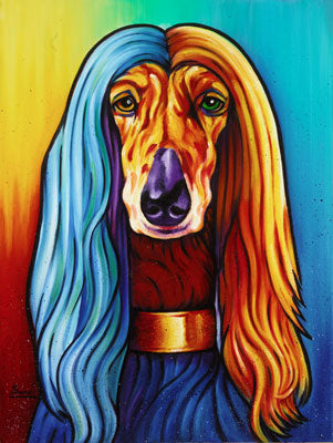 Afghan hound