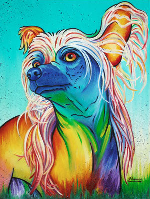 Chinese Crested