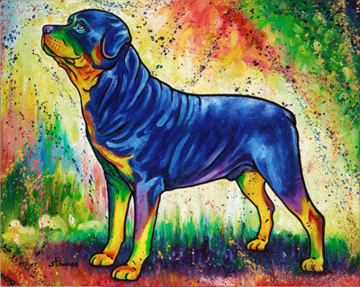Rottweiler