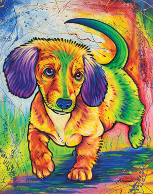 Frisky (Dachshund pup)