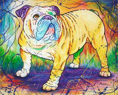British (English bulldog)