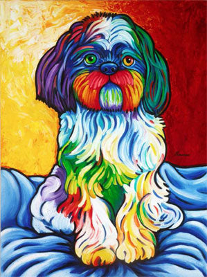 Shih Tzu