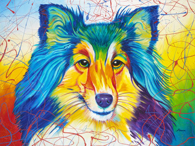 Lamb Chop (Sheltie/Collie)