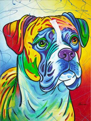 Boxer