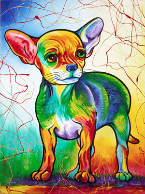 Pablo (Chihuahua)
