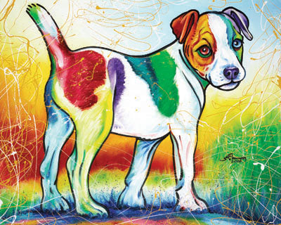 Jack Russell Terrier