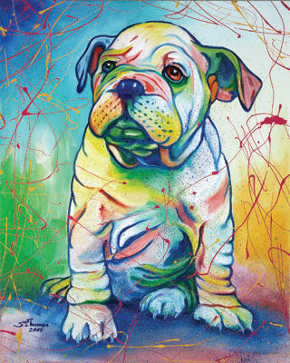 Rocky (English Bull dog pup)