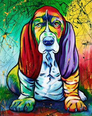 Basset Hound
