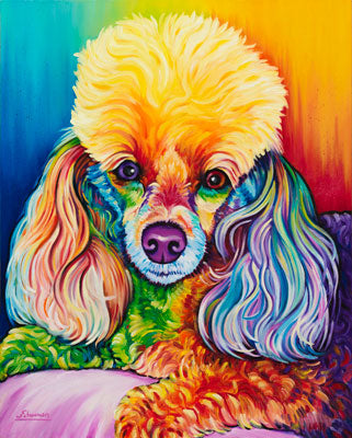 Oliver (Poodle)