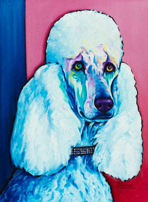 Monique (Standard Poodle)