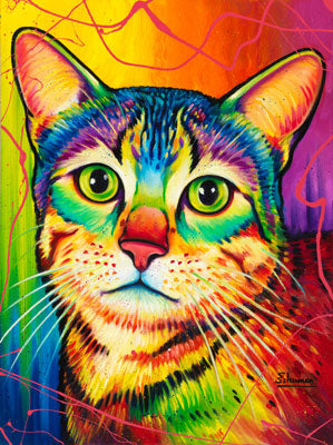 Rainbow Tabby