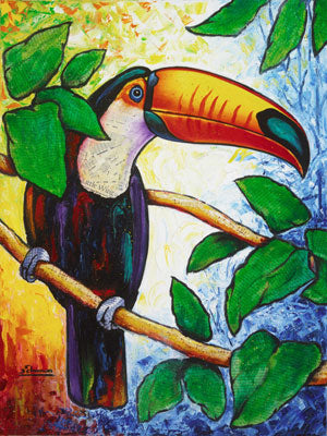 Toucan Bird