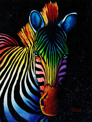 Rainbow Zebra