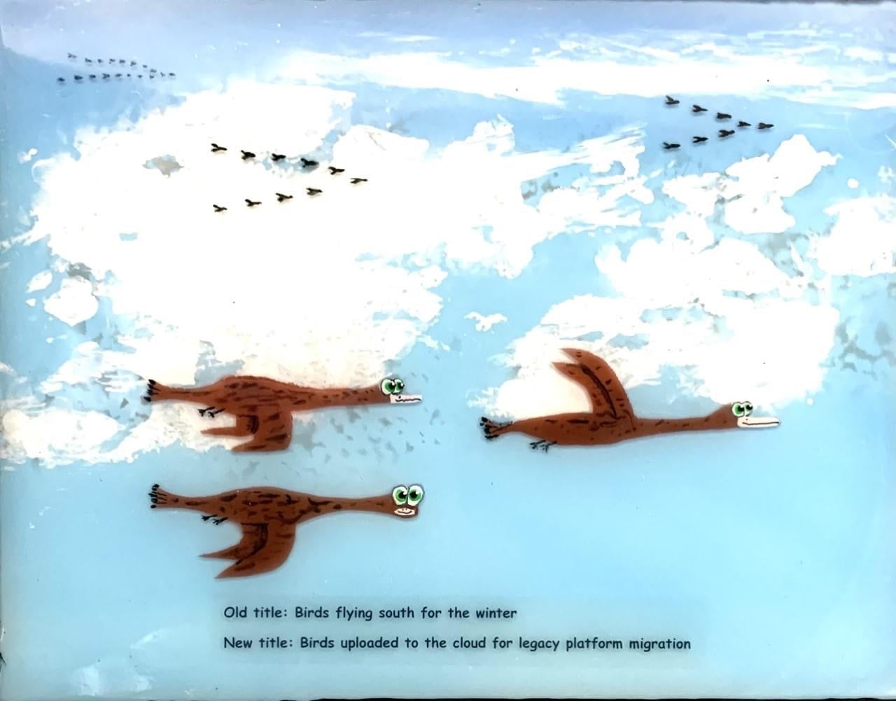 Birds Flying South