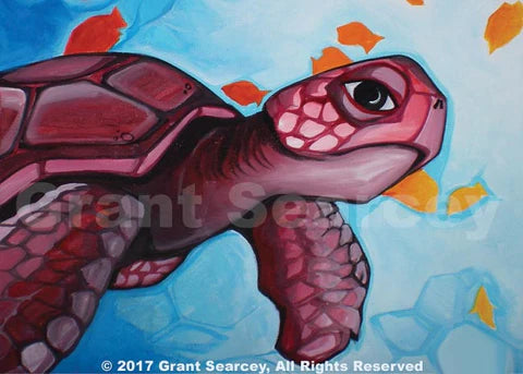 Pink Sea Turtle