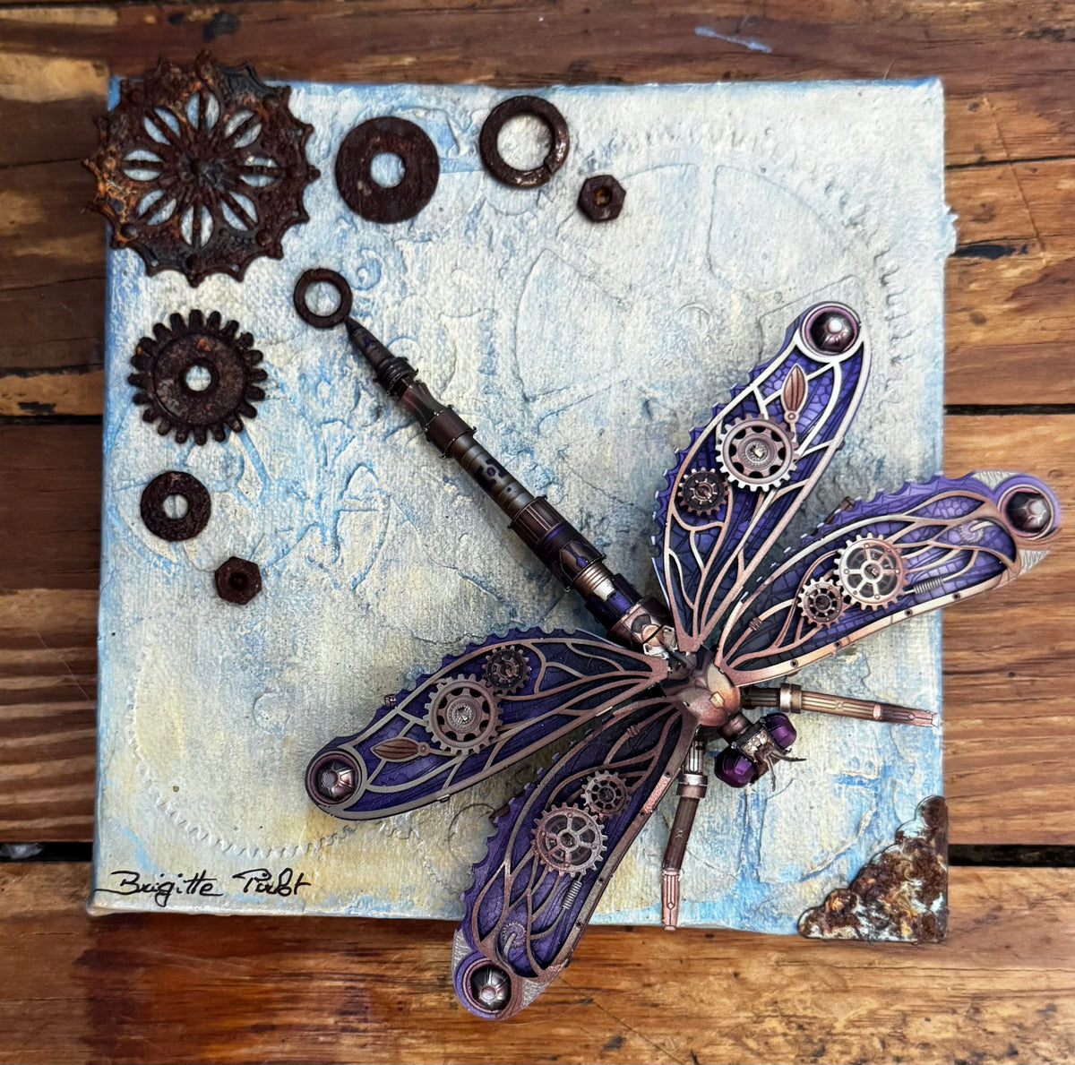 Steamy Punky, The Dragonfly