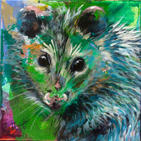 Opossum